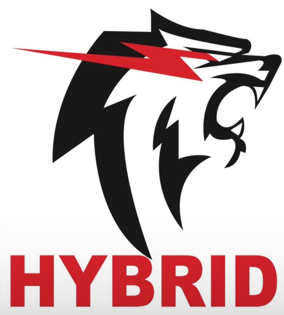 Hybrid